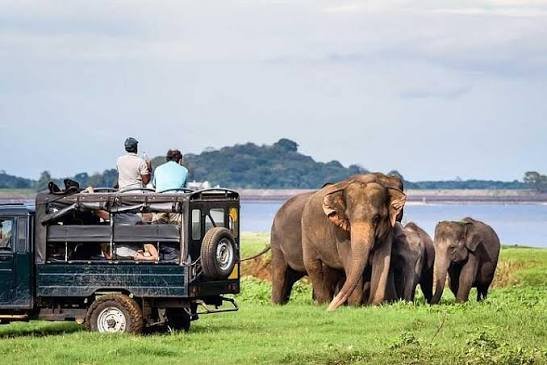 safarijeep
