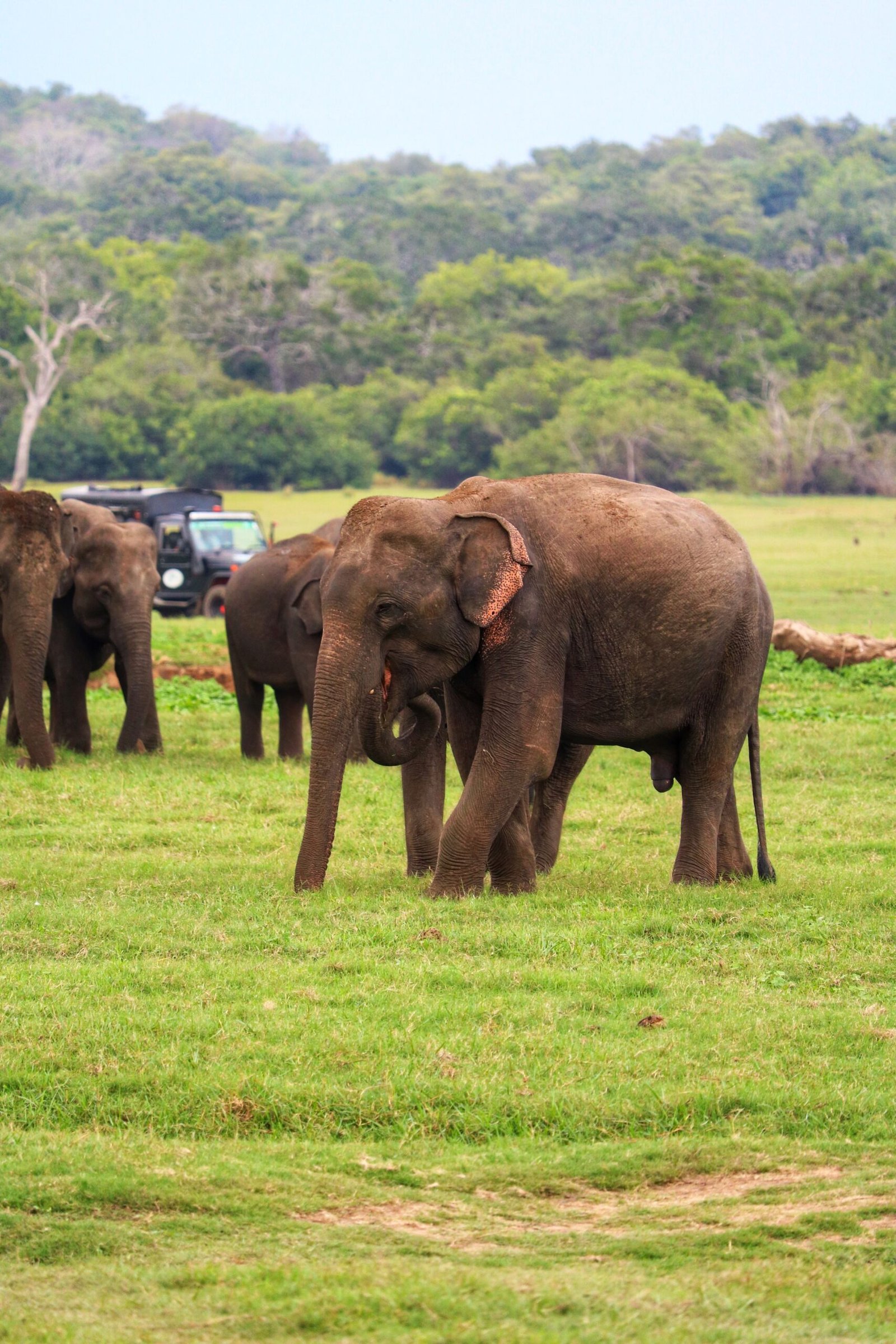 wildlifetour3